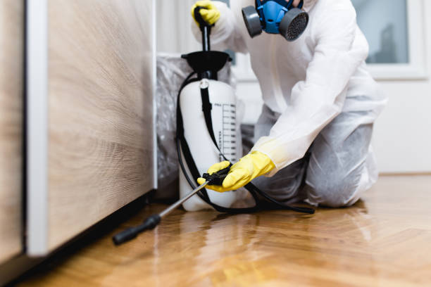 Best Local Pest Control Services  in Forestde, AL