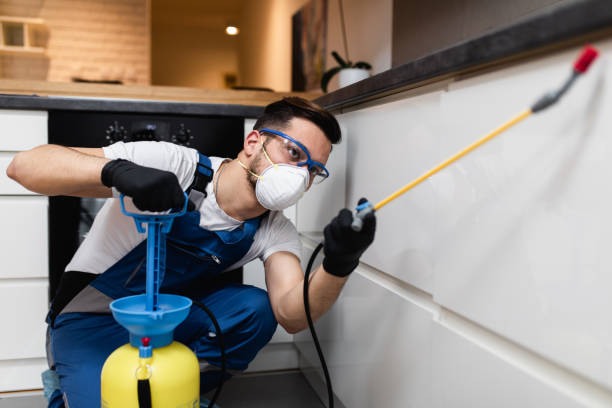 Best Pest Prevention Services  in Forestde, AL