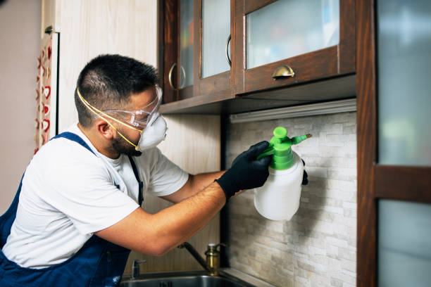 Best Mosquito Control Services  in Forestde, AL