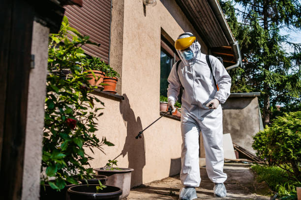 Best Emergency Pest Control  in Forestde, AL