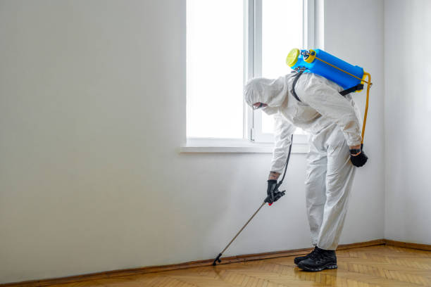 Best Best Pest Control Companies  in Forestde, AL