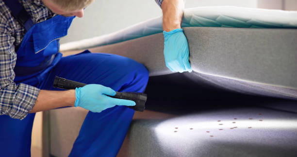 Best Pest Removal Services  in Forestde, AL