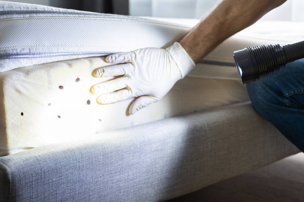 Best Affordable Pest Control Services  in Forestde, AL
