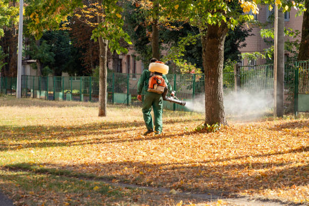Best Termite Control Services  in Forestde, AL